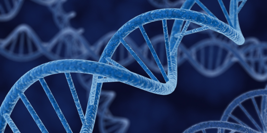 GeneticInfo_QandA
